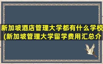 新加坡酒店管理大学都有什么学校(新加坡管理大学留学费用汇总介绍)