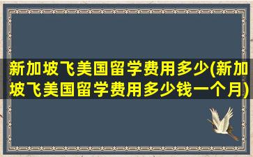 新加坡飞美国留学费用多少(新加坡飞美国留学费用多少钱一个月)