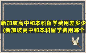 新加坡高中和本科留学费用差多少(新加坡高中和本科留学费用哪个高)