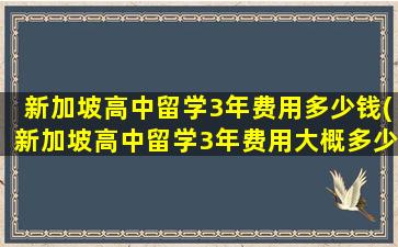 新加坡高中留学3年费用多少钱(新加坡高中留学3年费用大概多少)