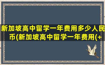 新加坡高中留学一年费用多少人民币(新加坡高中留学一年费用(+新加坡高中留学一年费用))