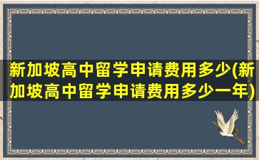 新加坡高中留学申请费用多少(新加坡高中留学申请费用多少一年)