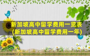 新加坡高中留学费用一览表(新加坡高中留学费用一年)