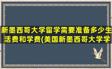 新墨西哥大学留学需要准备多少生活费和学费(美国新墨西哥大学学费)