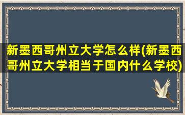 新墨西哥州立大学怎么样(新墨西哥州立大学相当于国内什么学校)