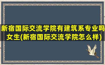 新宿国际交流学院有建筑系专业吗女生(新宿国际交流学院怎么样)