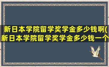 新日本学院留学奖学金多少钱啊(新日本学院留学奖学金多少钱一个月)