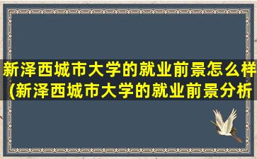 新泽西城市大学的就业前景怎么样(新泽西城市大学的就业前景分析)