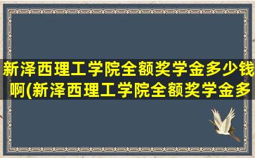 新泽西理工学院全额奖学金多少钱啊(新泽西理工学院全额奖学金多少钱一个月)