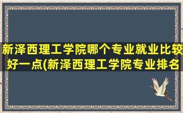 新泽西理工学院哪个专业就业比较好一点(新泽西理工学院专业排名)