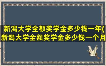 新潟大学全额奖学金多少钱一年(新潟大学全额奖学金多少钱一个月)