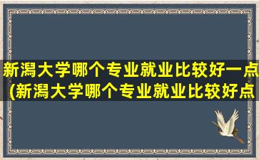 新潟大学哪个专业就业比较好一点(新潟大学哪个专业就业比较好点)