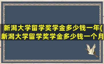 新潟大学留学奖学金多少钱一年(新潟大学留学奖学金多少钱一个月)