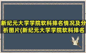 新纪元大学学院软科排名情况及分析图片(新纪元大学学院软科排名情况及分析图)