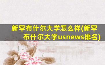 新罕布什尔大学怎么样(新罕布什尔大学usnews排名)