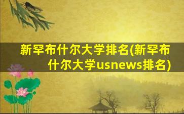 新罕布什尔大学排名(新罕布什尔大学usnews排名)