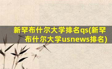 新罕布什尔大学排名qs(新罕布什尔大学usnews排名)