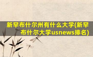 新罕布什尔州有什么大学(新罕布什尔大学usnews排名)