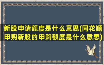 新股申请额度是什么意思(同花顺申购新股的申购额度是什么意思)