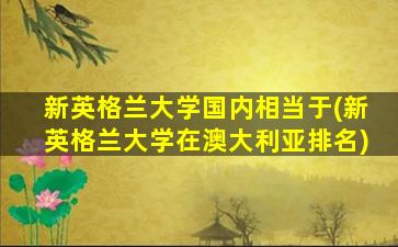 新英格兰大学国内相当于(新英格兰大学在澳大利亚排名)