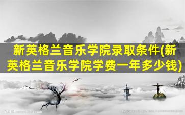 新英格兰音乐学院录取条件(新英格兰音乐学院学费一年多少钱)