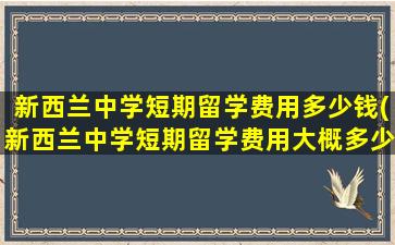 新西兰中学短期留学费用多少钱(新西兰中学短期留学费用大概多少)