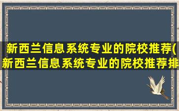 新西兰信息系统专业的院校推荐(新西兰信息系统专业的院校推荐排名)