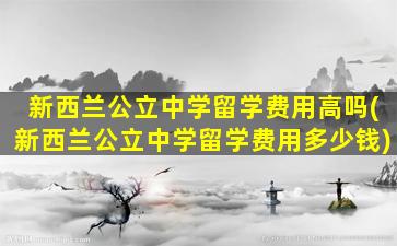 新西兰公立中学留学费用高吗(新西兰公立中学留学费用多少钱)