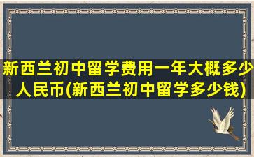 新西兰初中留学费用一年大概多少人民币(新西兰初中留学多少钱)