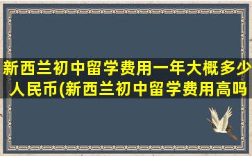 新西兰初中留学费用一年大概多少人民币(新西兰初中留学费用高吗)