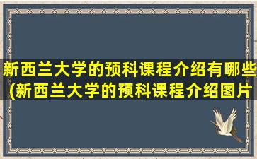 新西兰大学的预科课程介绍有哪些(新西兰大学的预科课程介绍图片)