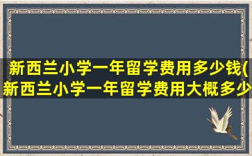 新西兰小学一年留学费用多少钱(新西兰小学一年留学费用大概多少)