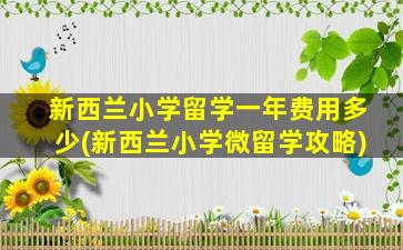 新西兰小学留学一年费用多少(新西兰小学微留学攻略)