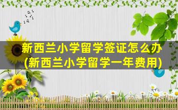 新西兰小学留学签证怎么办(新西兰小学留学一年费用)