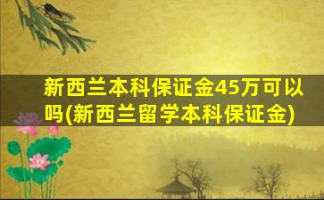 新西兰本科保证金45万可以吗(新西兰留学本科保证金)