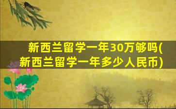 新西兰留学一年30万够吗(新西兰留学一年多少人民币)