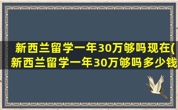 新西兰留学一年30万够吗现在(新西兰留学一年30万够吗多少钱)