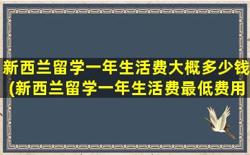 新西兰留学一年生活费大概多少钱(新西兰留学一年生活费最低费用)