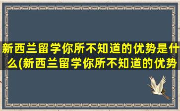 新西兰留学你所不知道的优势是什么(新西兰留学你所不知道的优势和劣势)