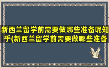 新西兰留学前需要做哪些准备呢知乎(新西兰留学前需要做哪些准备呢英文)