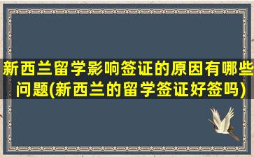 新西兰留学影响签证的原因有哪些问题(新西兰的留学签证好签吗)