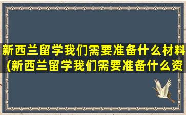 新西兰留学我们需要准备什么材料(新西兰留学我们需要准备什么资料)