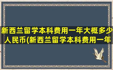 新西兰留学本科费用一年大概多少人民币(新西兰留学本科费用一年多少)