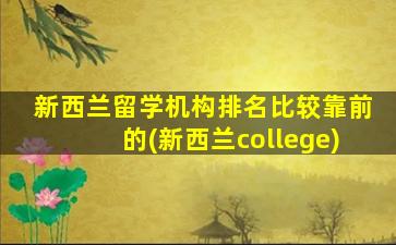 新西兰留学机构排名比较靠前的(新西兰college)