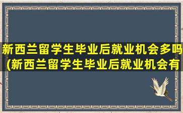 新西兰留学生毕业后就业机会多吗(新西兰留学生毕业后就业机会有多少)