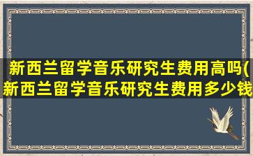 新西兰留学音乐研究生费用高吗(新西兰留学音乐研究生费用多少钱)