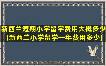 新西兰短期小学留学费用大概多少(新西兰小学留学一年费用多少)