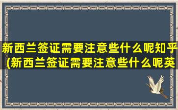 新西兰签证需要注意些什么呢知乎(新西兰签证需要注意些什么呢英文)