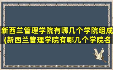 新西兰管理学院有哪几个学院组成(新西兰管理学院有哪几个学院名称)