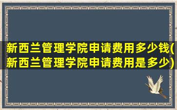 新西兰管理学院申请费用多少钱(新西兰管理学院申请费用是多少)